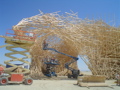 DSC01493.JPG