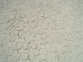 DSC01481.JPG