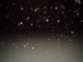 DSC01568.JPG