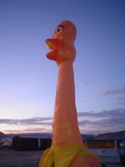 DSC03068.JPG