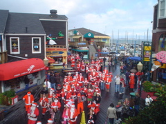 DSC02298.JPG