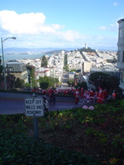 DSC02313.JPG